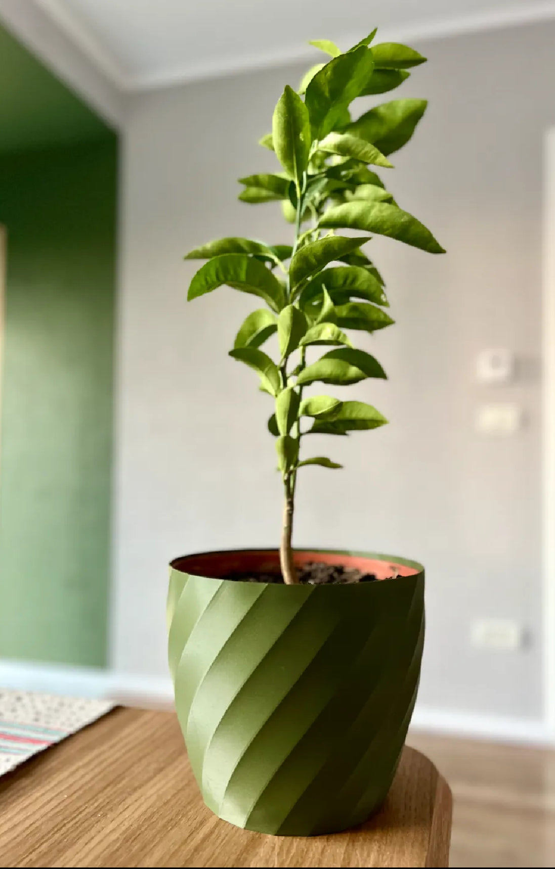 Modern Spiral Vase