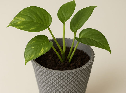 Textured Geometric Plant Pot – Modern Grey Planter